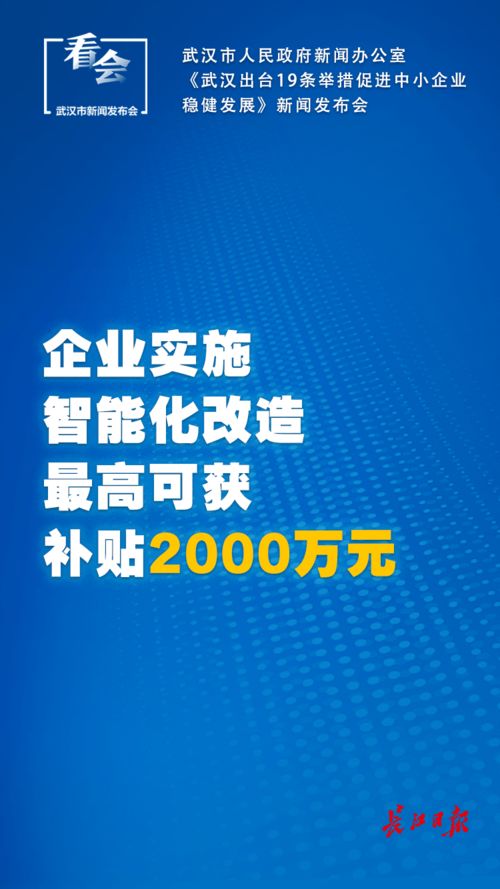 武漢出臺中小企業扶持新政 社保延長、稅費減免與技術推廣齊發力